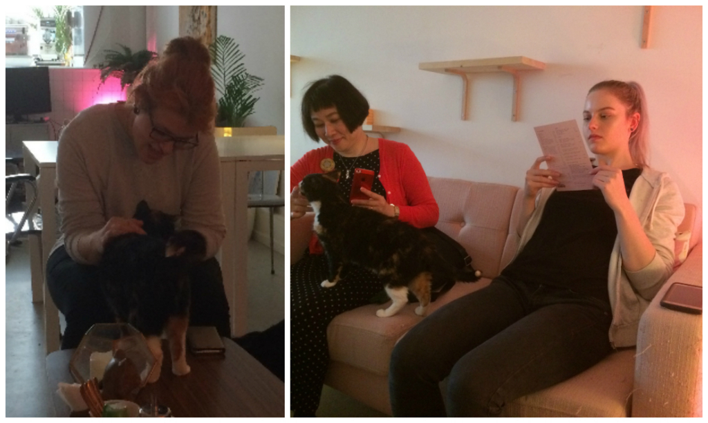 f:id:Tanu_LPT:20171118184445j:plain