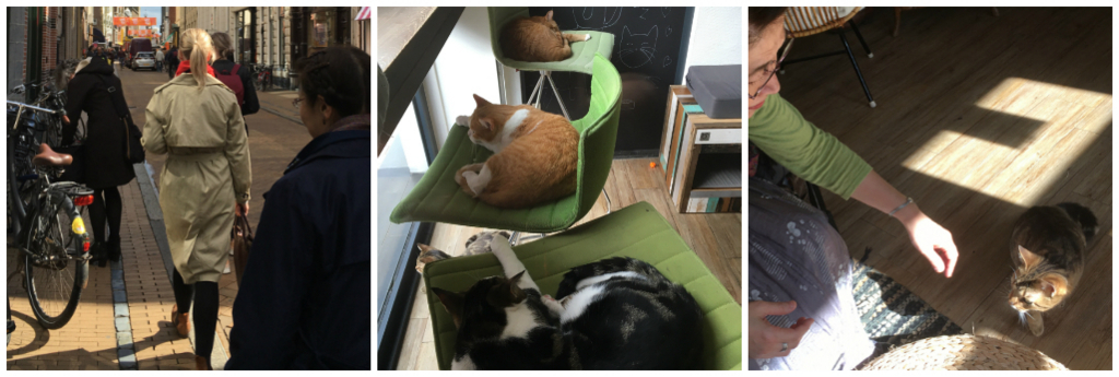 f:id:Tanu_LPT:20180616174302j:plain