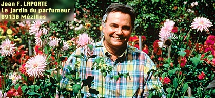 f:id:Tanu_LPT:20181027230951j:plain