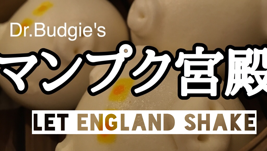 f:id:Tanu_LPT:20200121110819p:plain