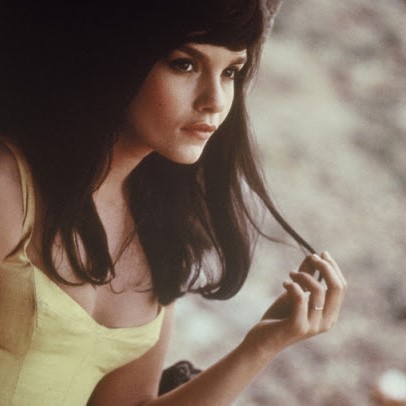 f:id:Tanu_LPT:20201014122216j:plain