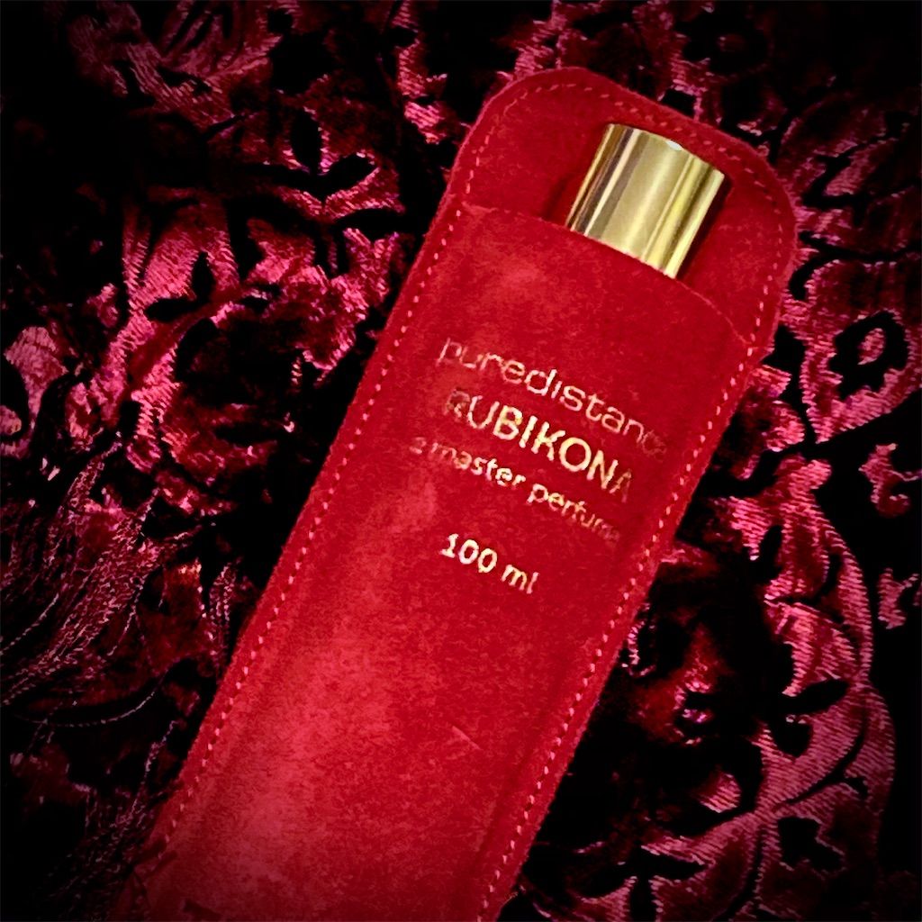 f:id:Tanu_LPT:20201014184606j:plain