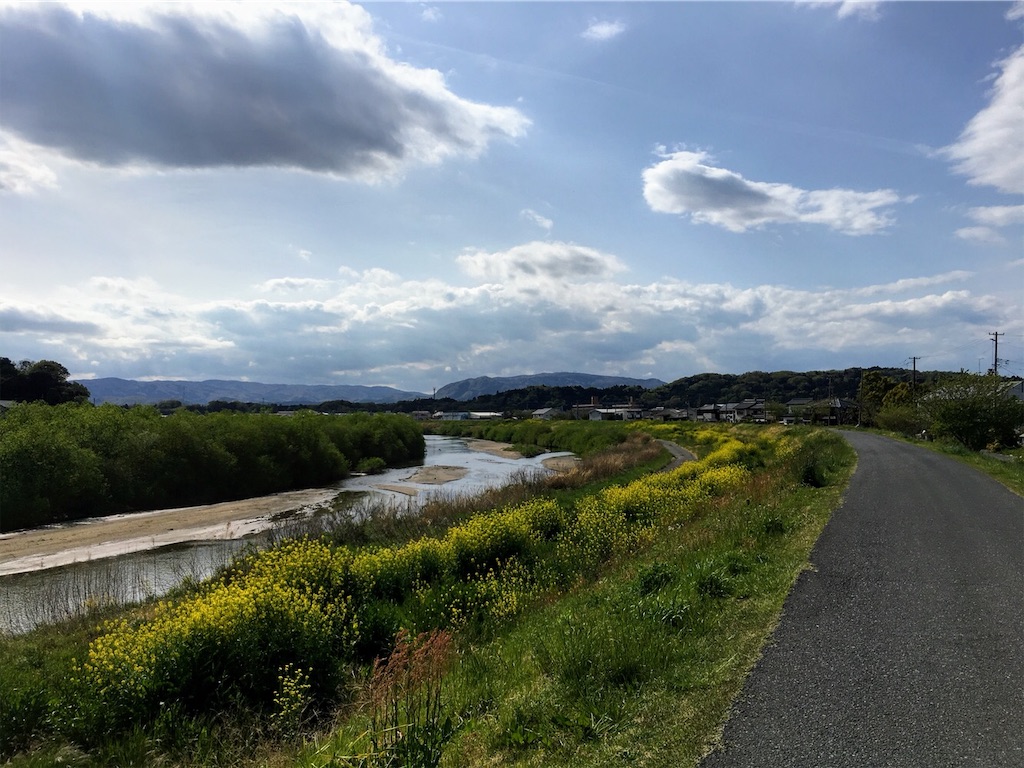 f:id:Tanukimono1101:20190511013736j:image f:id:Tanukimono1101:20190511013736j:image