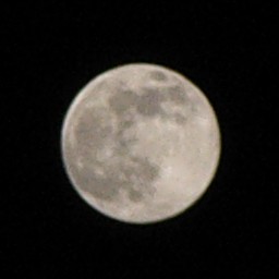 f:id:TarZ:20100828144238j:image
