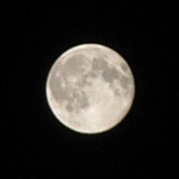 f:id:TarZ:20100828144239j:image