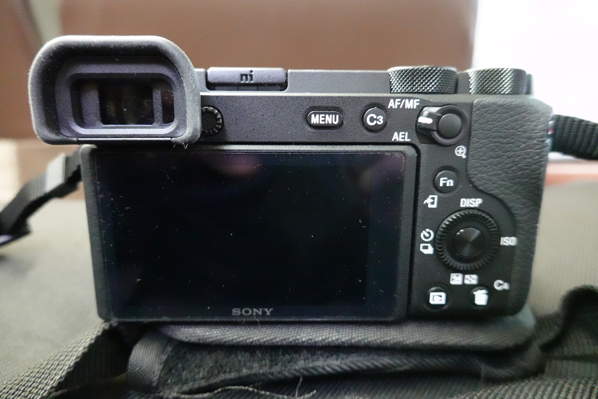 またか】カメラを買った話【α6600・SEL18135レビュー】 - 単焦 またか】カメラを買った話【α6600・SEL18135レビュー】 - 単焦