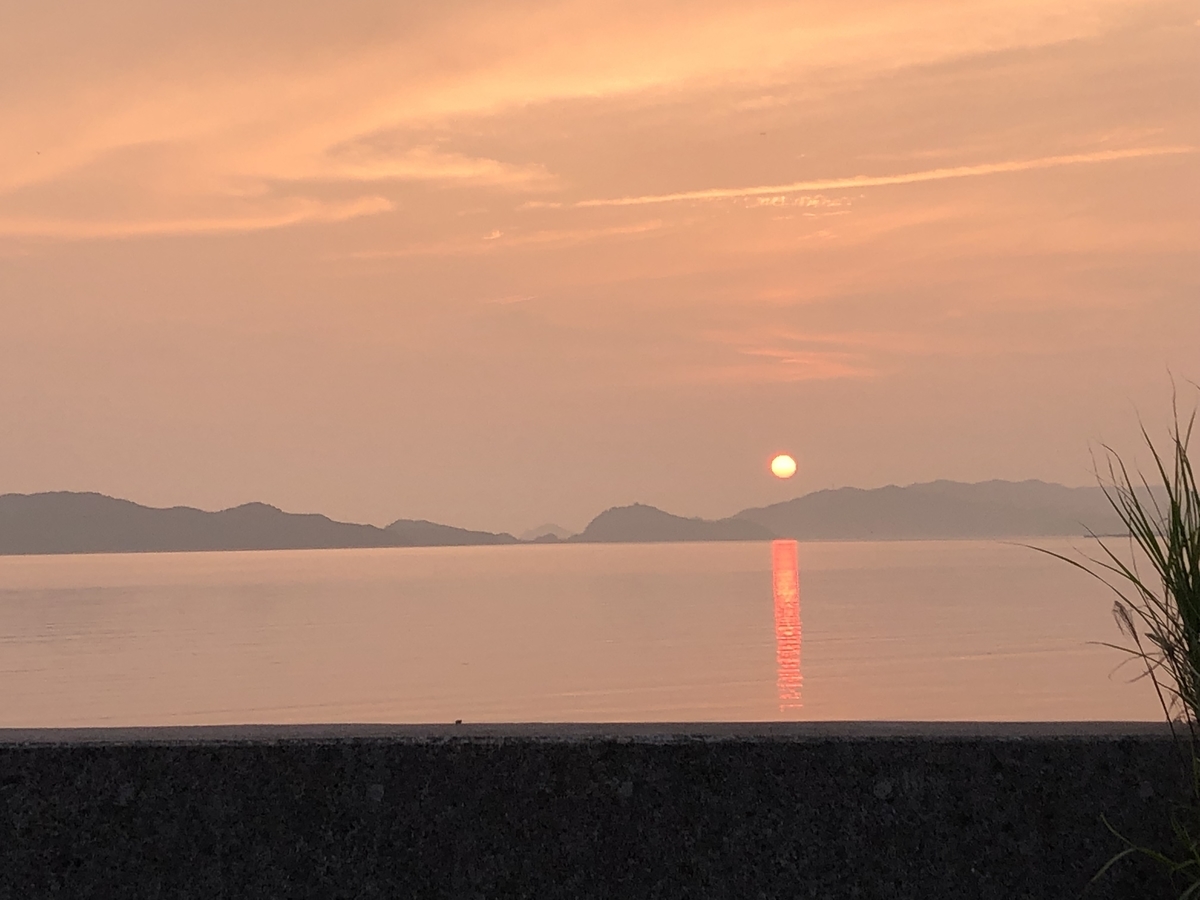 f:id:Taroumarukome:20190624131754j:plain f:id:Taroumarukome:20190624131754j:plain