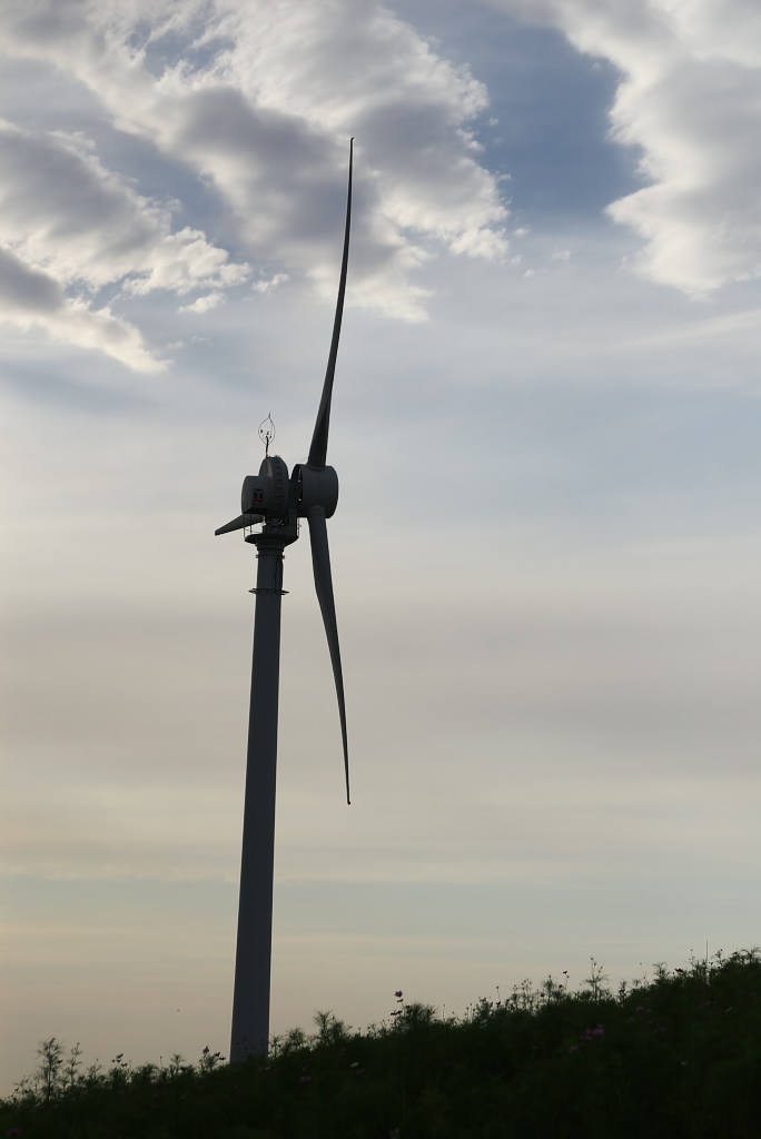 Arida Windmill