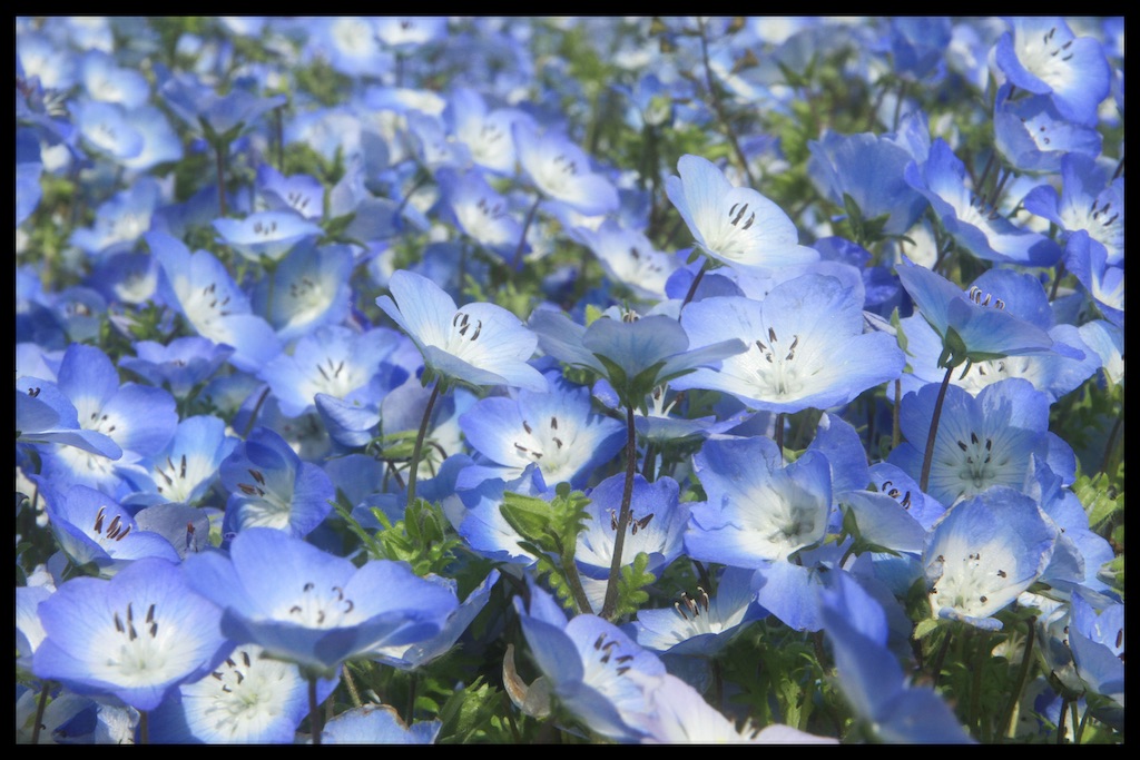 f:id:Tate_850:20210418155953j:image