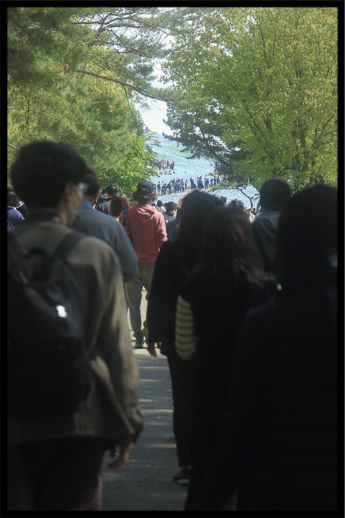 f:id:Tate_850:20210418160002j:image