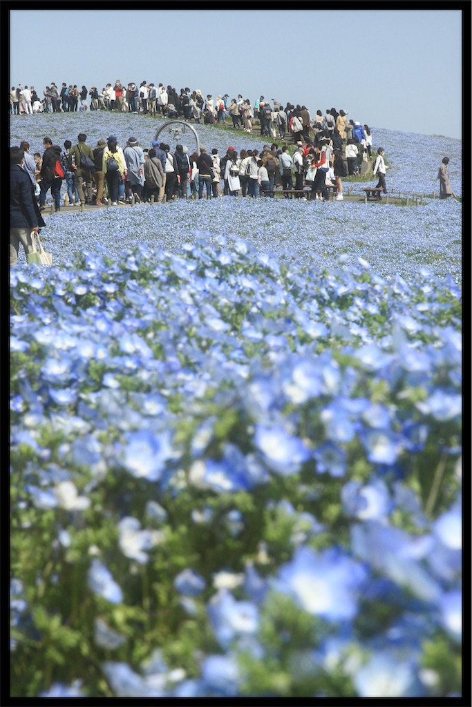 f:id:Tate_850:20210418160007j:image