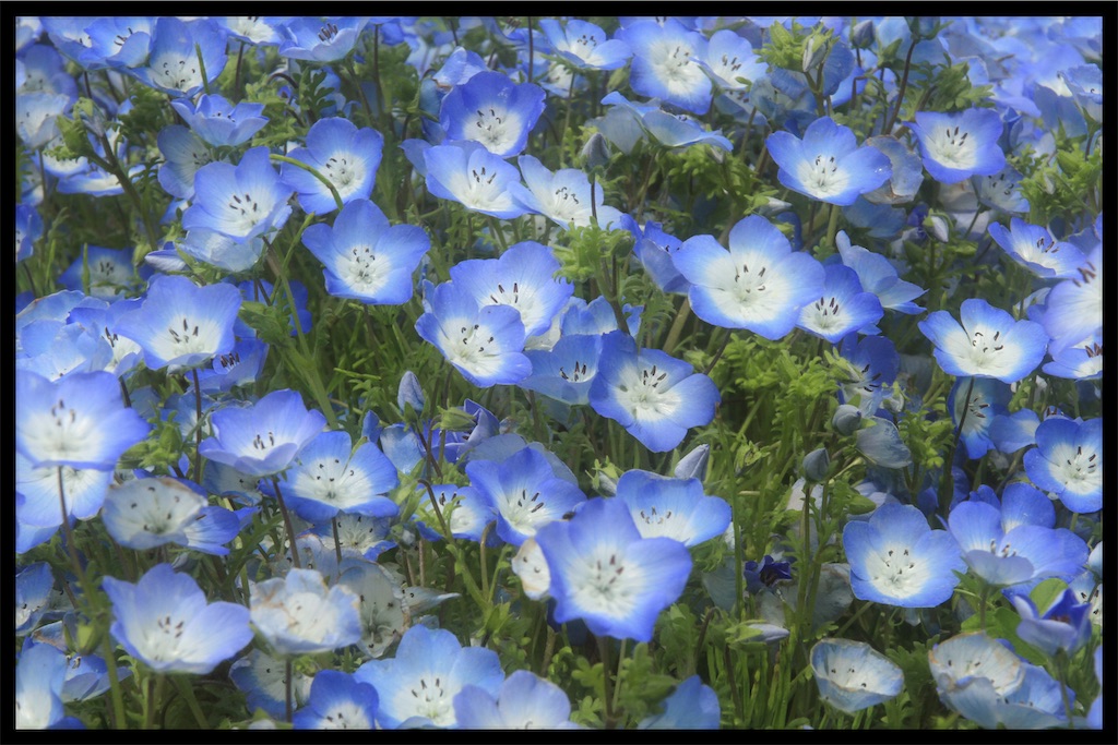 f:id:Tate_850:20210418160010j:image