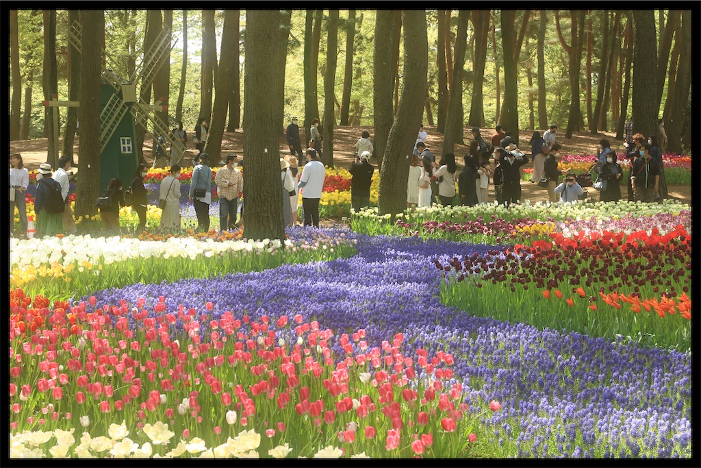 f:id:Tate_850:20210418160811j:image