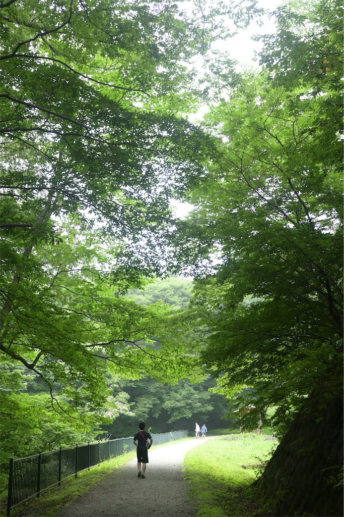 f:id:Tate_850:20230706165018j:image