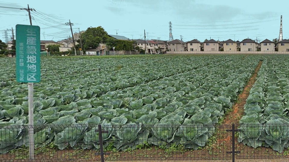 f:id:Tatsuhikoblog:20210609230415j:plain