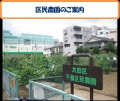 f:id:Tatsuhikoblog:20210609230637j:plain