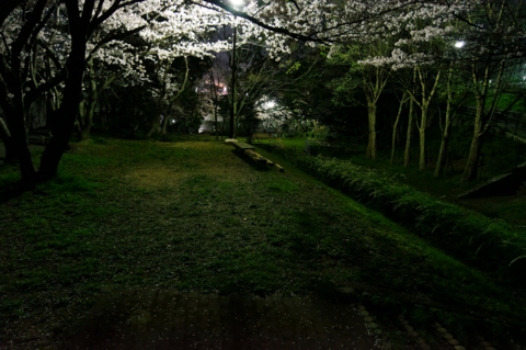 f:id:Tatsuriki:20130406110040j:image