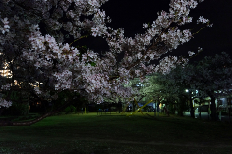 f:id:Tatsuriki:20130406110100j:image