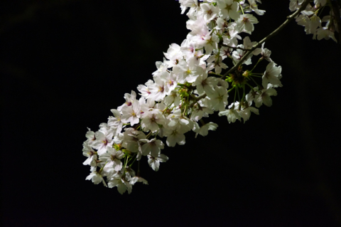 f:id:Tatsuriki:20130406110119j:image