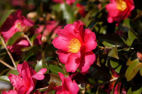 f:id:Tatsuriki:20131230134126j:image