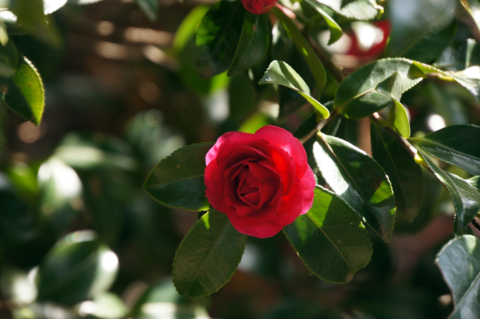 f:id:Tatsuriki:20131230134151j:image