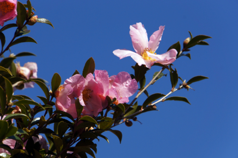 f:id:Tatsuriki:20131230134215j:image