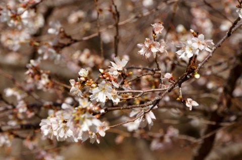 f:id:Tatsuriki:20131230134446j:image