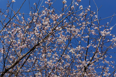 f:id:Tatsuriki:20131230134518j:image