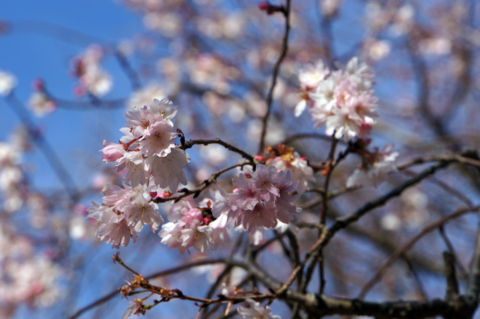 f:id:Tatsuriki:20131230134552j:image