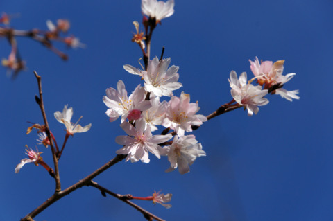 f:id:Tatsuriki:20131230134624j:image