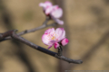 20180415162150