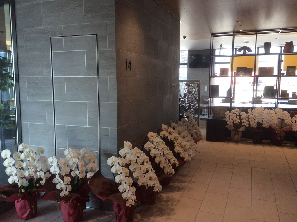 f:id:TaxLab:20190130143737j:plain