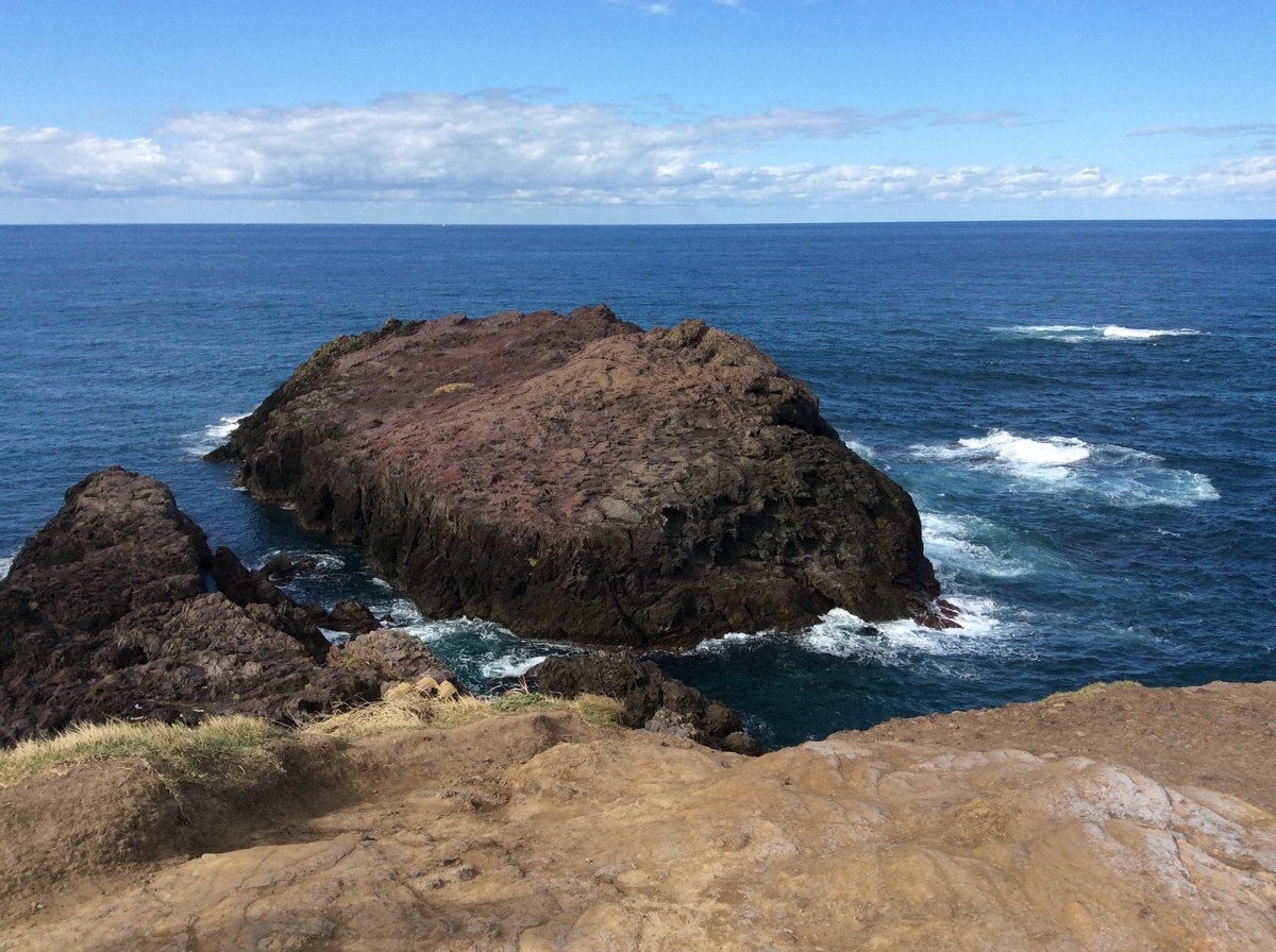 f:id:TaxLab:20211022140310j:plain