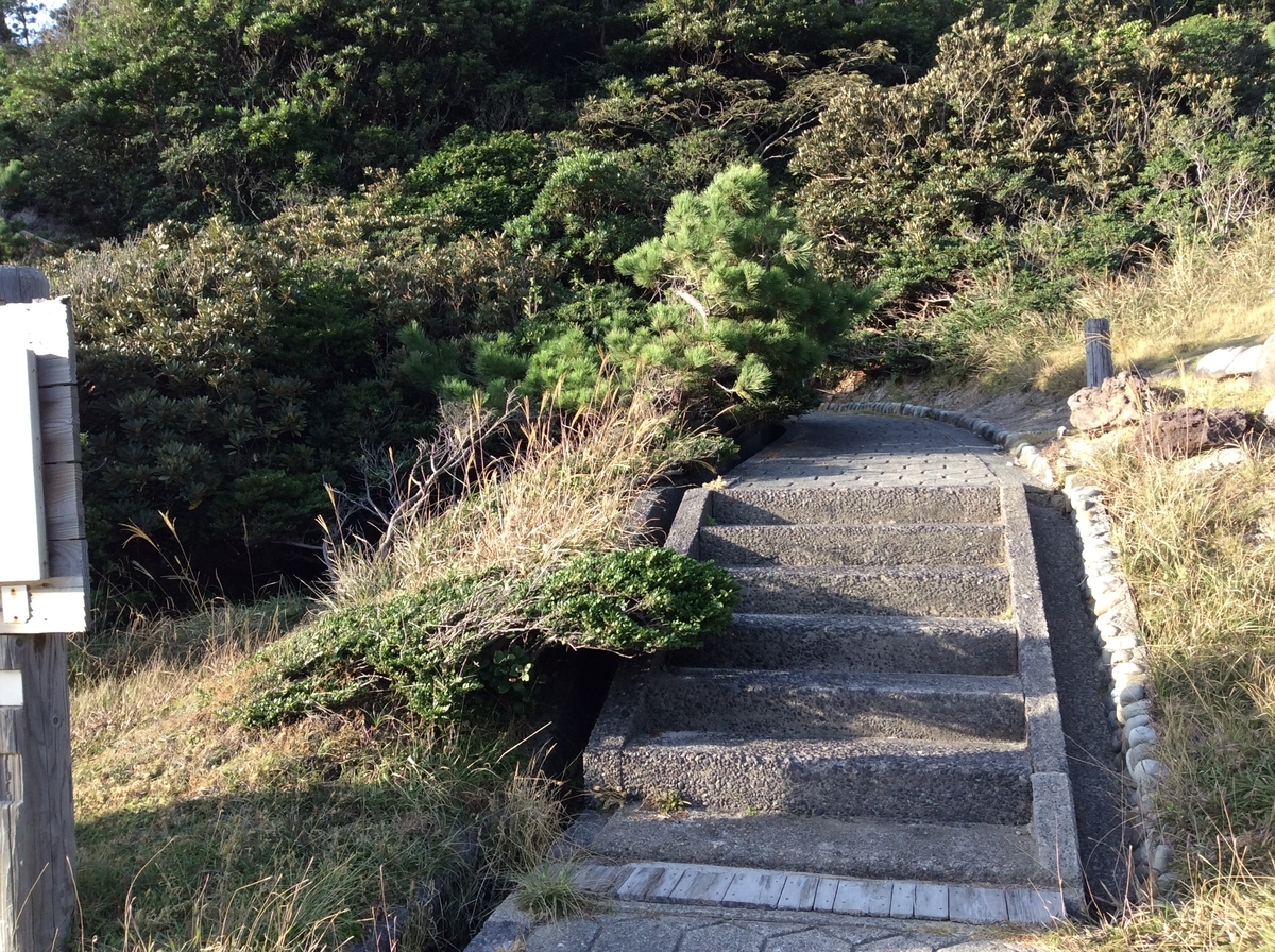 f:id:TaxLab:20211022142523j:plain