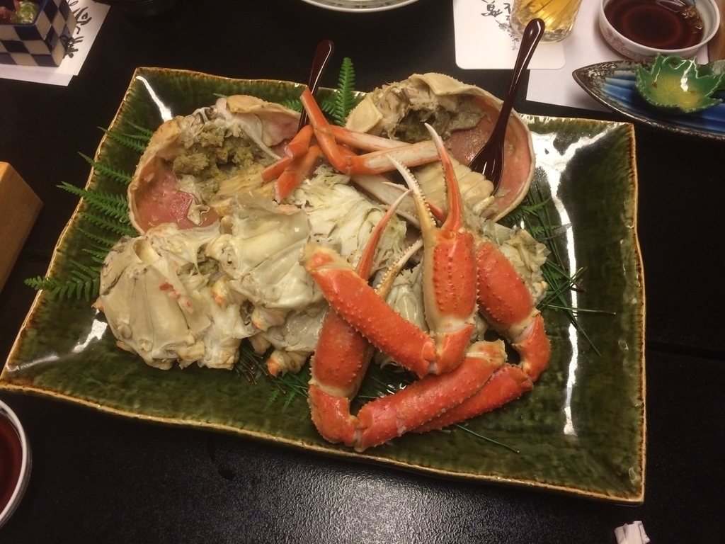 f:id:Taz_Tourist:20190114130932j:plain