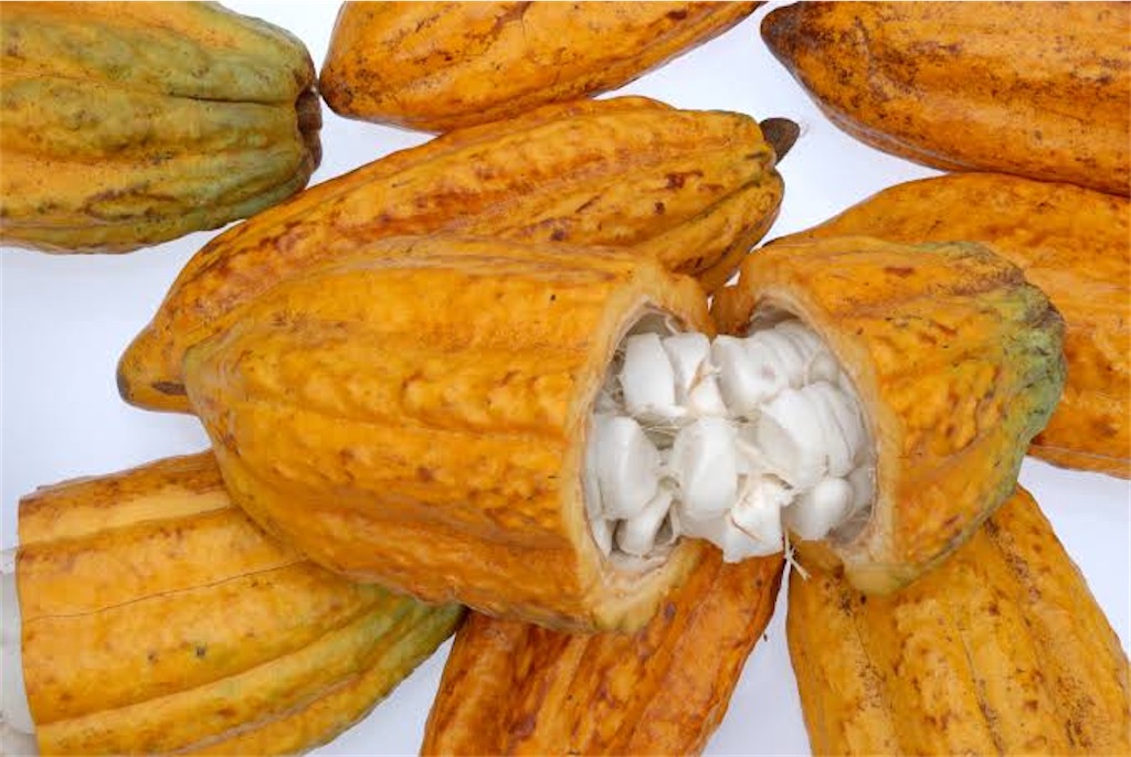 f:id:Tcashless:20221128221322j:image