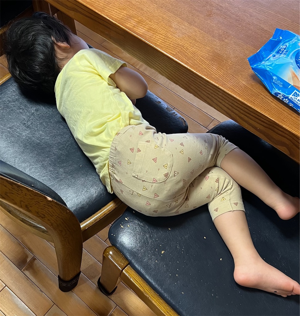 f:id:Tcashless:20230529192718j:image