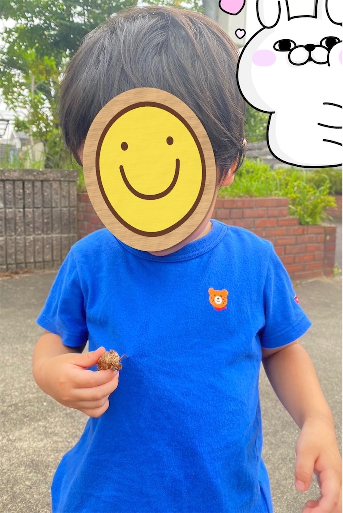 f:id:Tcashless:20230712105909j:image