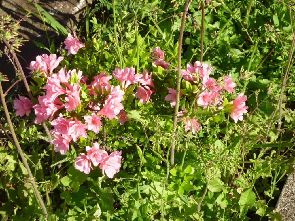 f:id:TedO:20170425184532j:plain f:id:TedO:20170425184532j:plain