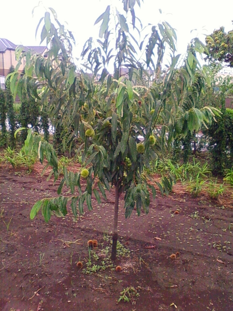 f:id:TedO:20170812125611j:plain f:id:TedO:20170812125611j:plain