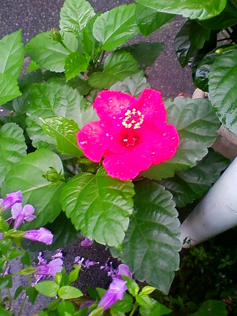 f:id:TedO:20170812130528j:plain f:id:TedO:20170812130528j:plain