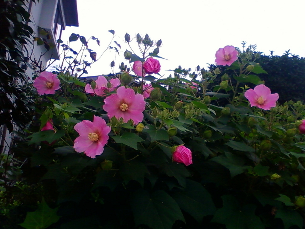 f:id:TedO:20170812130856j:plain f:id:TedO:20170812130856j:plain