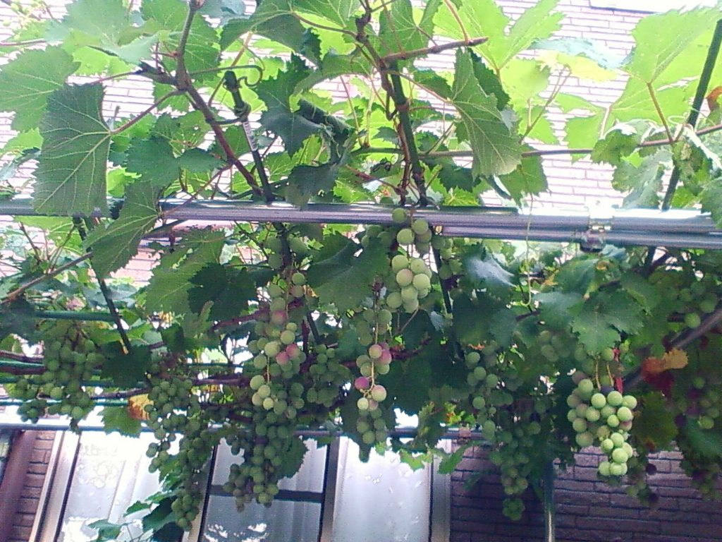 f:id:TedO:20170813114340j:plain