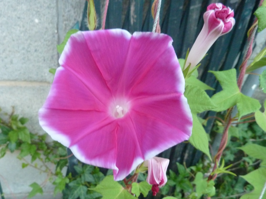 f:id:TedO:20170824102928j:plain f:id:TedO:20170824102928j:plain