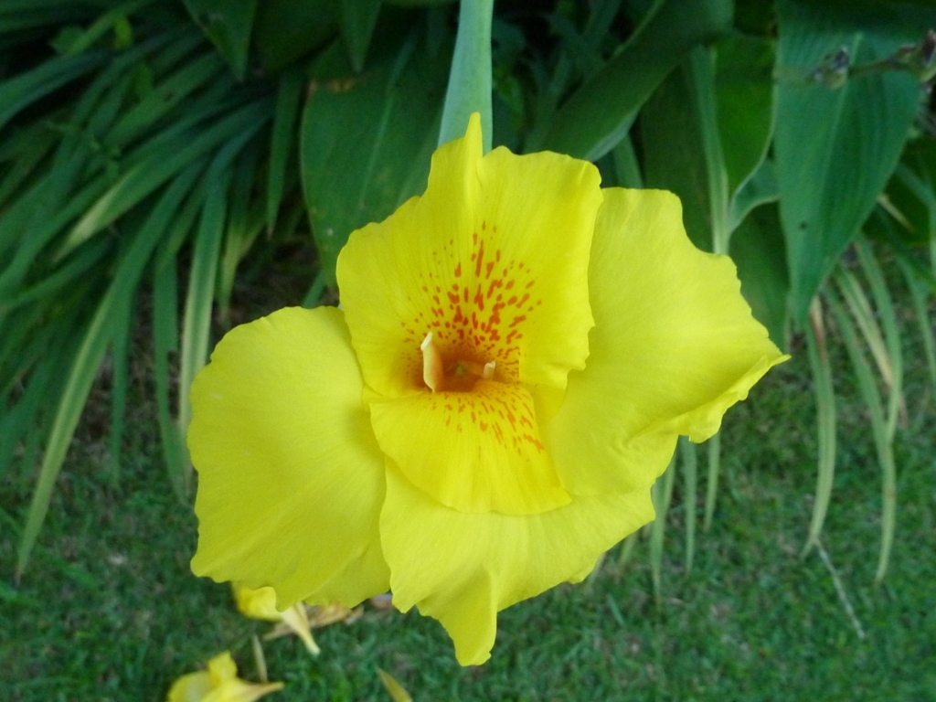 f:id:TedO:20170824103836j:plain f:id:TedO:20170824103836j:plain