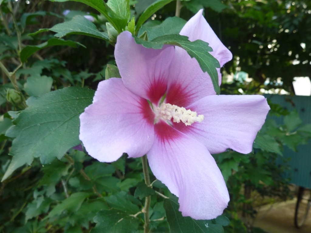 f:id:TedO:20170824104332j:plain f:id:TedO:20170824104332j:plain