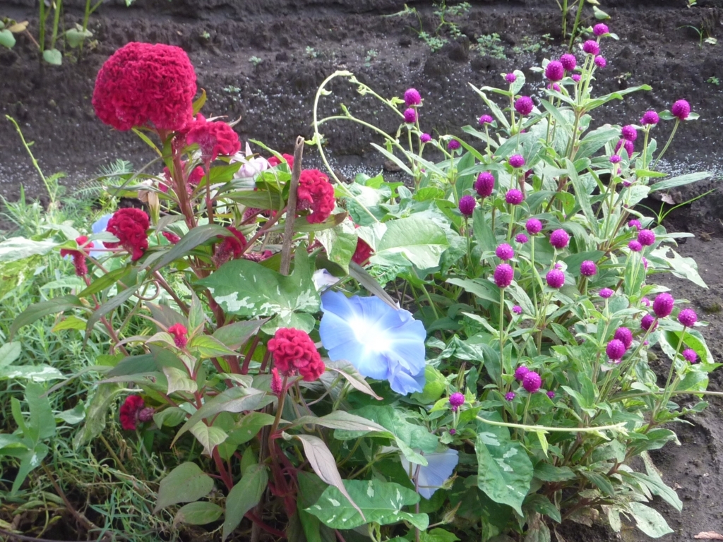 f:id:TedO:20170824104438j:plain f:id:TedO:20170824104438j:plain