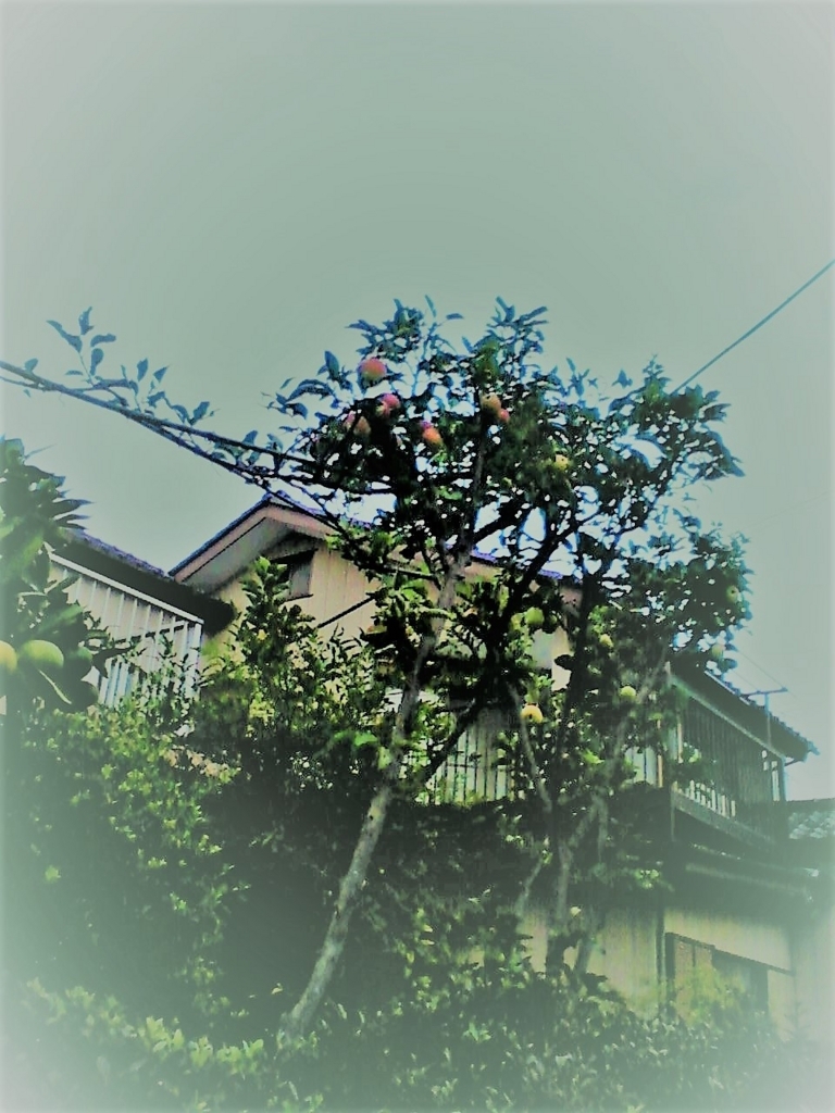 f:id:TedO:20170907150657j:plain f:id:TedO:20170907150657j:plain