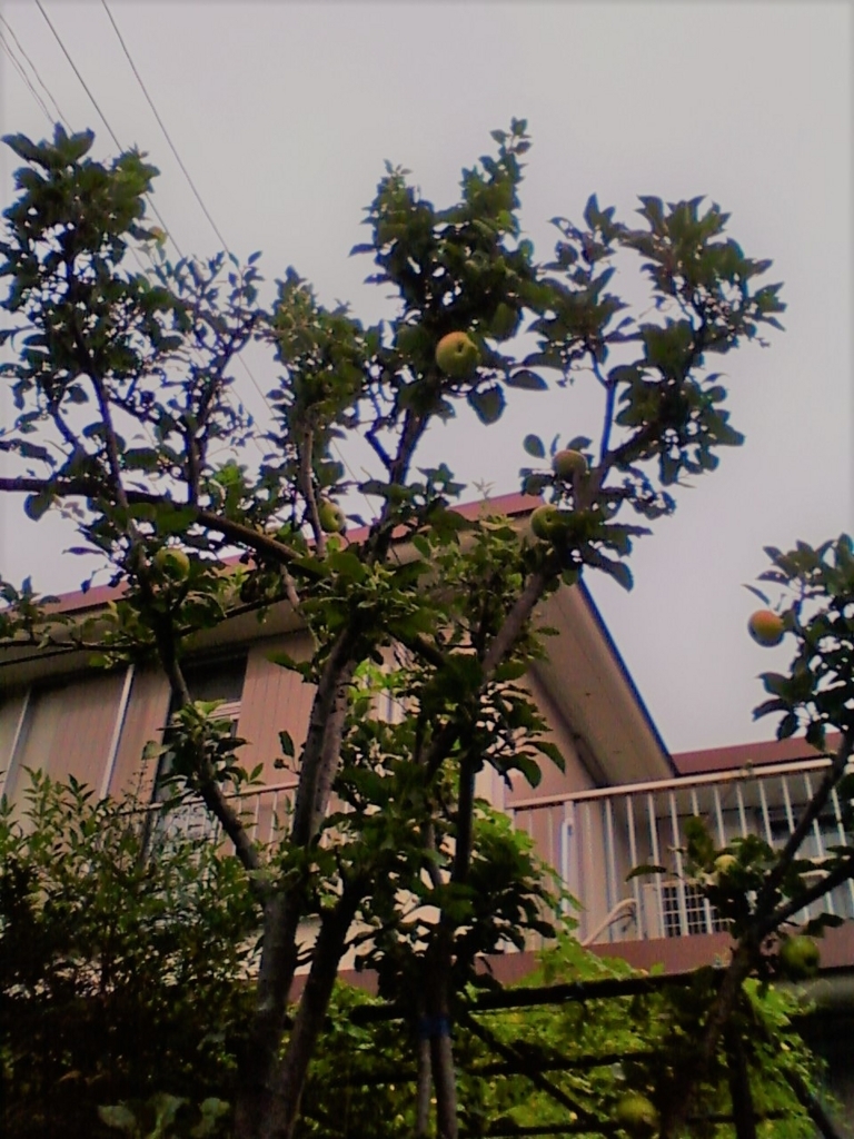 f:id:TedO:20170907150947j:plain f:id:TedO:20170907150947j:plain