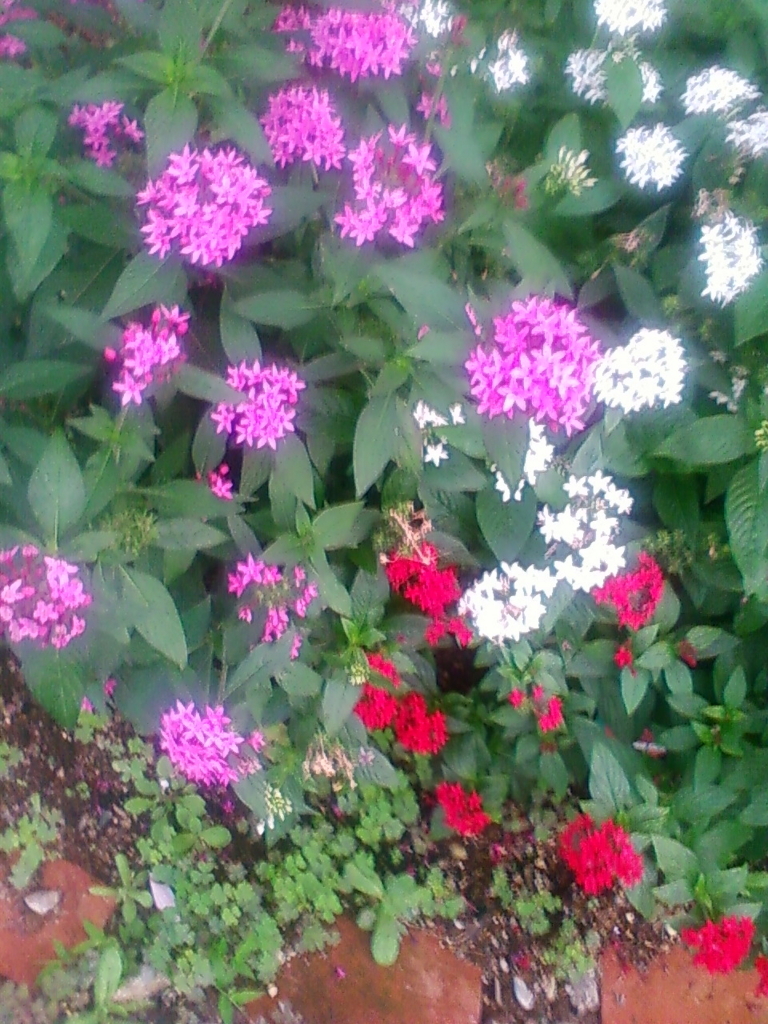 f:id:TedO:20170909215225j:plain f:id:TedO:20170909215225j:plain